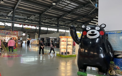 IMG_8767.jpeg IMG_8767.jpeg