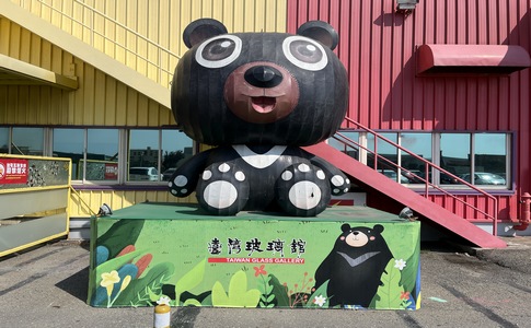 IMG_8772.jpeg IMG_8772.jpeg