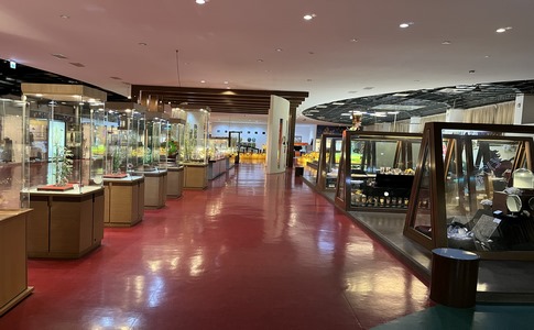 IMG_9684.jpeg IMG_9684.jpeg