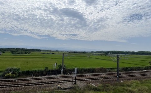 IMG_0465.jpeg