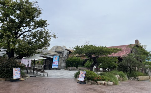 IMG_0722.jpeg