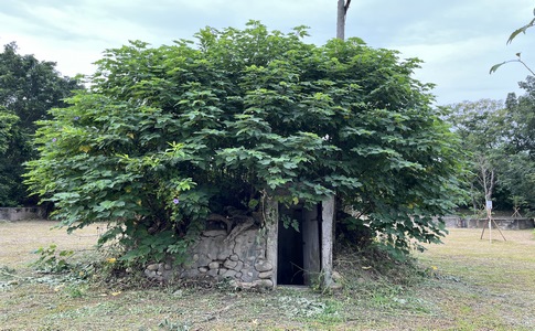 IMG_0653.jpeg