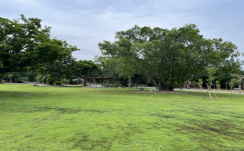 IMG_0671.jpeg