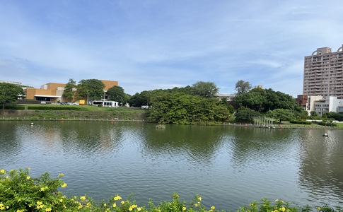 IMG_0790.jpeg
