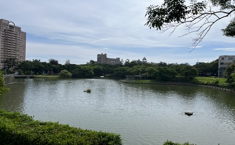 IMG_0785.jpeg