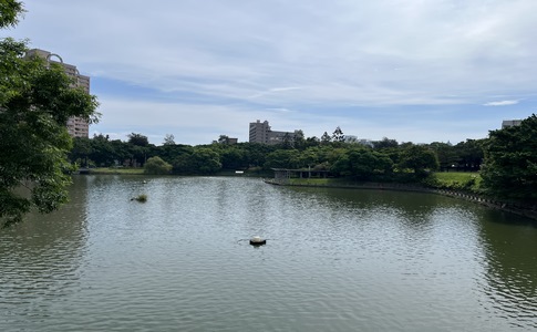 IMG_0786.jpeg