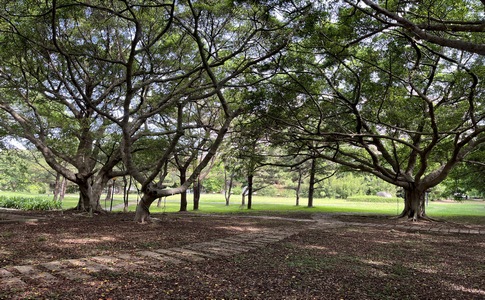 IMG_0795.jpeg