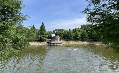 IMG_0808.jpeg