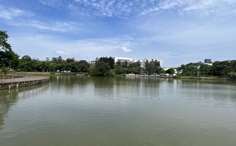 IMG_0832.jpeg