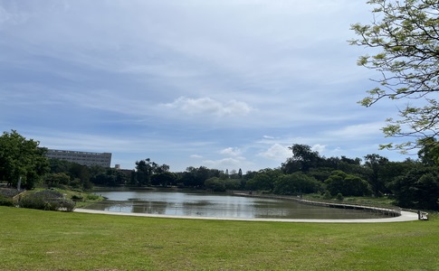 IMG_0823.jpeg