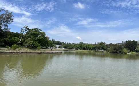 IMG_0833.jpeg