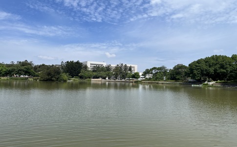 IMG_0834.jpeg