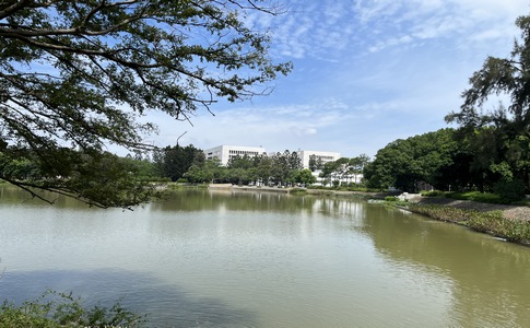 IMG_0836.jpeg