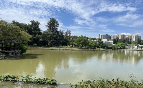 IMG_0839.jpeg