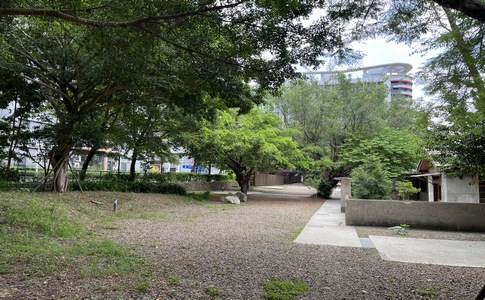IMG_0892.jpeg