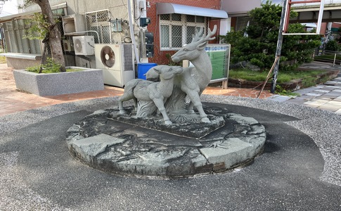 IMG_0915.jpeg
