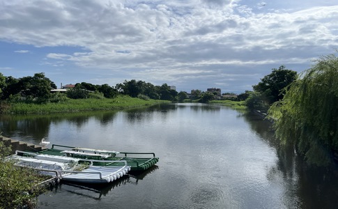 IMG_0933.jpeg