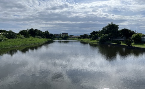 IMG_0935.jpeg