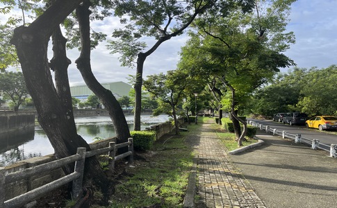 IMG_1015.jpeg