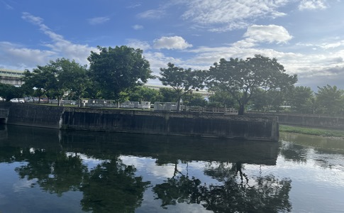 IMG_1013.jpeg