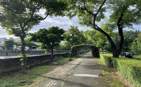 IMG_1011.jpeg