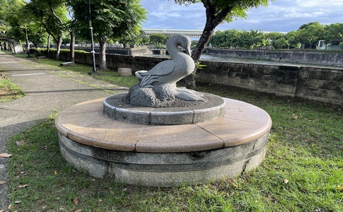 IMG_1010.jpeg