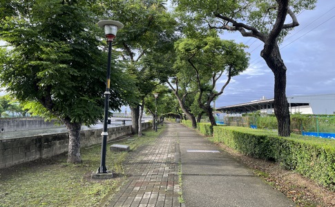 IMG_1007.jpeg